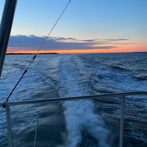 Meet your Posher, Adrienne